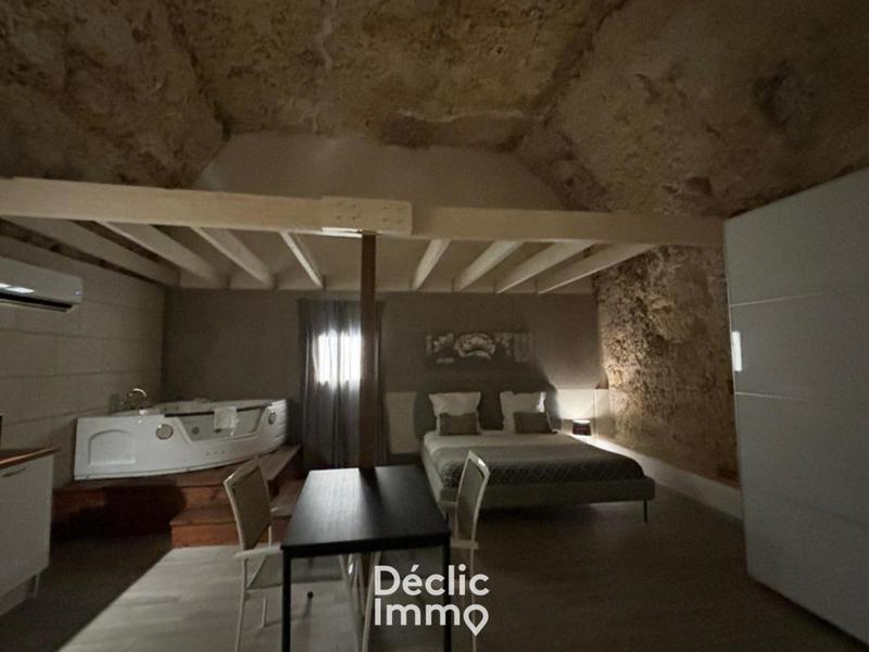 Château - 558 m² - 14 pièces