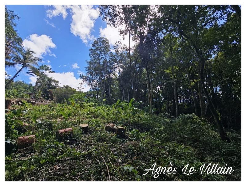 Terrain constructible - 3 502 m²