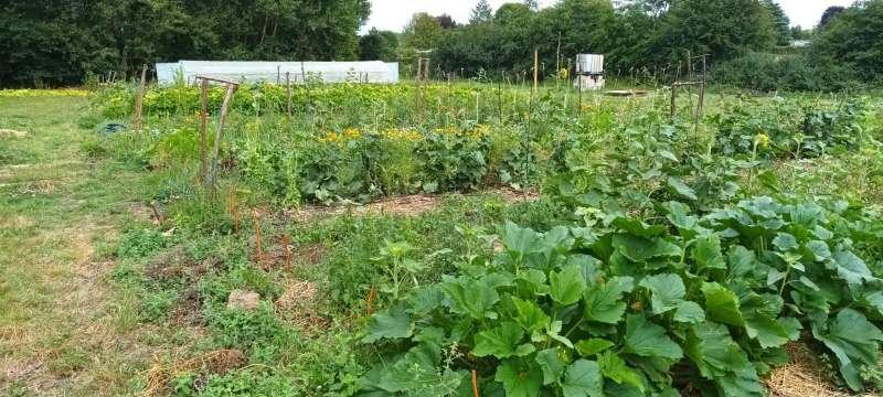 Terrain de loisirs - 200 m²