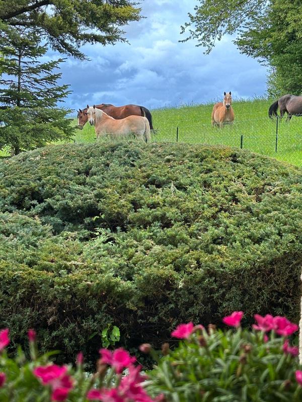 Maison - 320 m² - 10 pièces