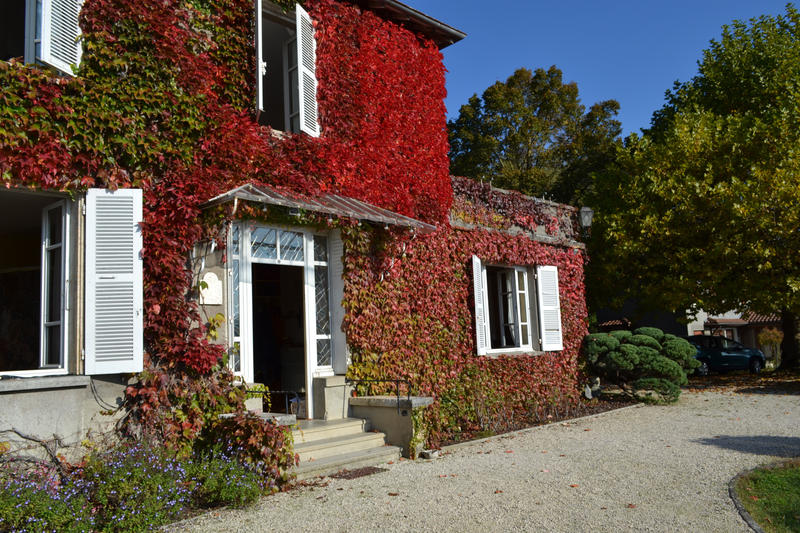 Maison - 267 m² - 10 pièces