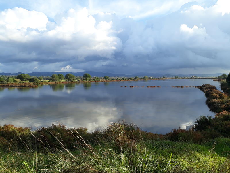 Espace nature des Salins d'Hyères