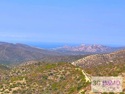 Viager - Maison - 140 m² - 6 pièces