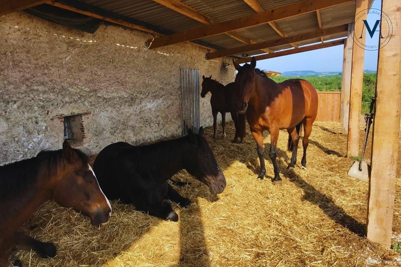 Haras - 340 m² - 6 pièces