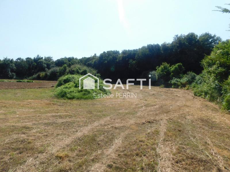 Terrain - 1 557 m²