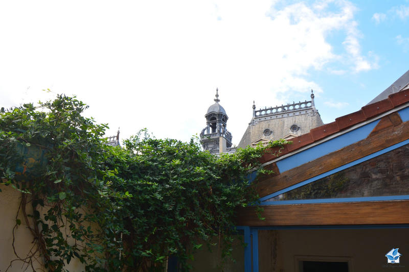 Viager - Maison traditionnelle - 248 m² - 6 pièces