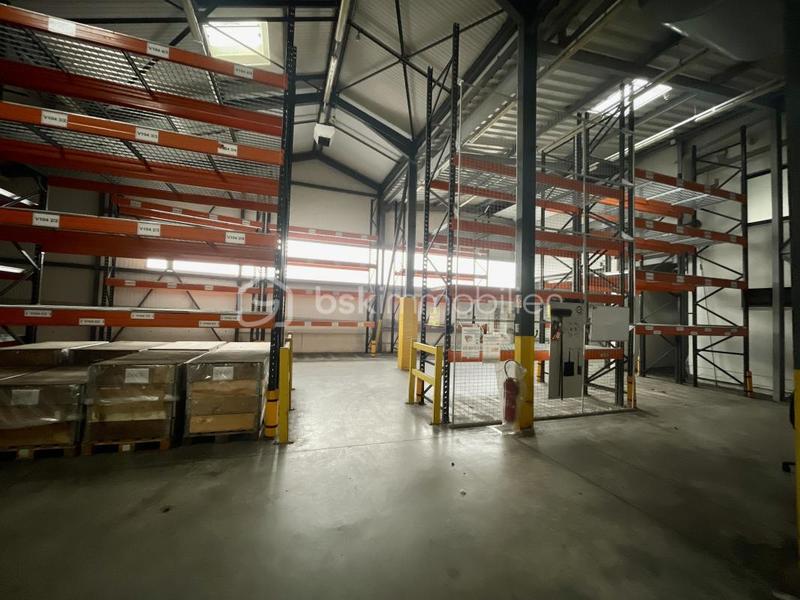 Bureau - 9 000 m² - 50 pièces