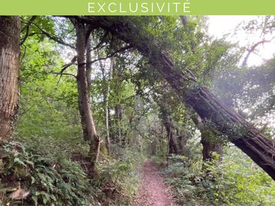 Terrain agricole - 13 950 m²