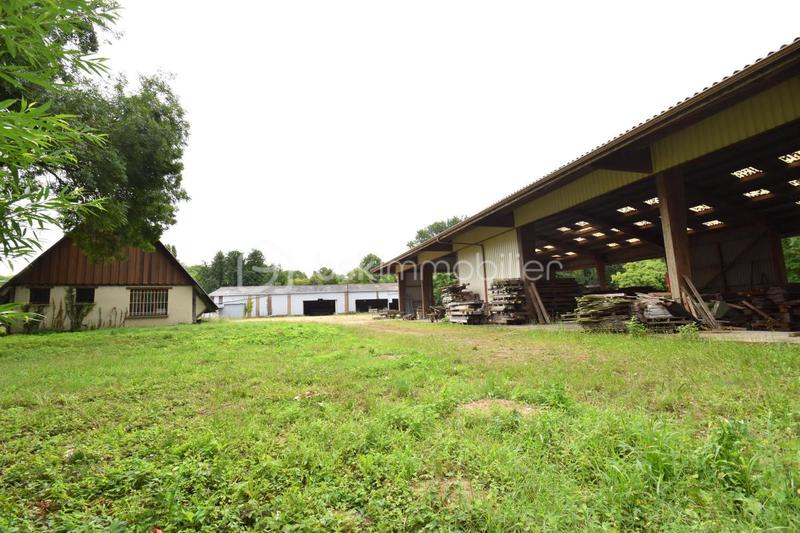 Local d'activité / Entrepôt - 2 600 m² - 10 pièces