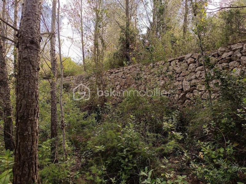 Terrain agricole - 12 490 m²