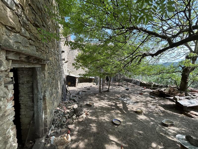 Maison - 300 m² - 5 pièces