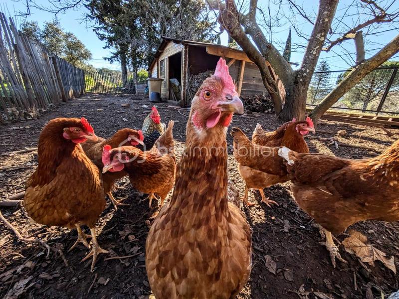 Appartement - 760 m² - 24 pièces