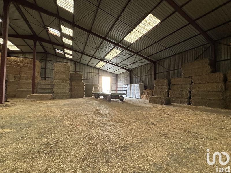 Local commercial - 2 900 m²