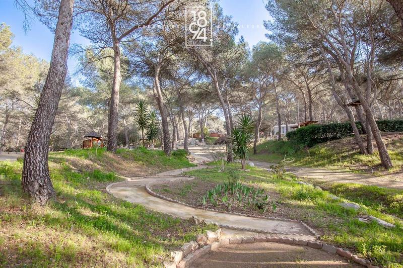 Terrain de loisirs - 7 103 m²