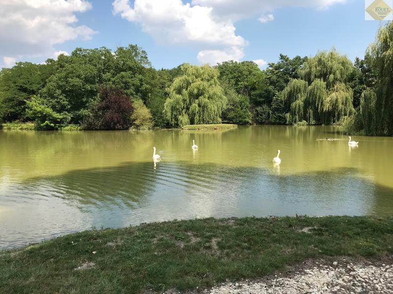 Château - 1 169 m² - 15 pièces