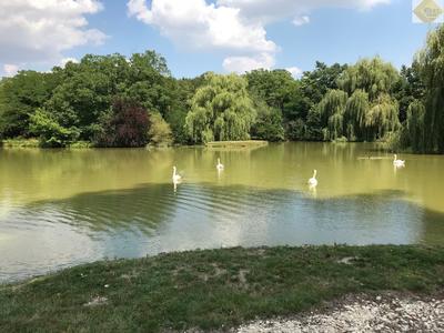 Château - 1 169 m² - 15 pièces