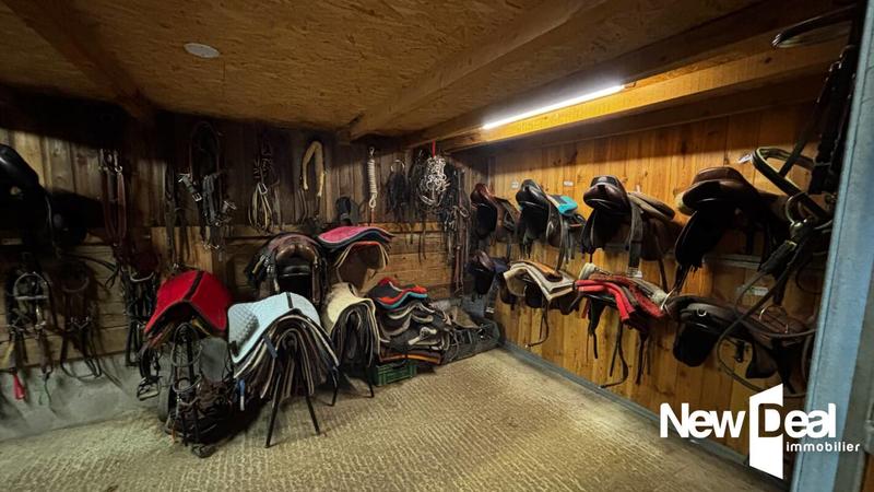 Maison de domaine équestre - 250 m² - 10 pièces