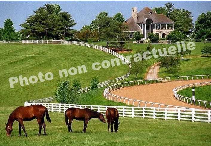 Propriété - 170 m² - 10 pièces