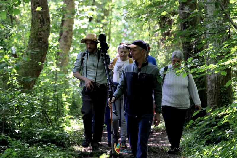 Balade nocturne au bord de l'Adour