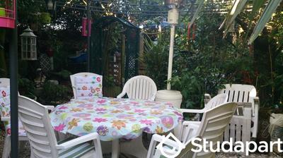 Chambre - 20 m² - 1 pièce