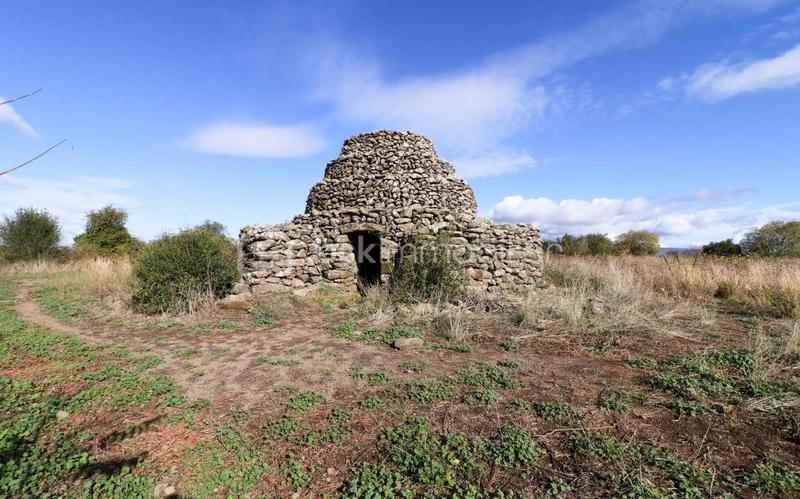 Terrain agricole - 23 150 m²