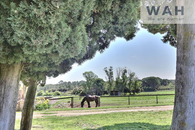 Propriété - 168 m² - 4 pièces