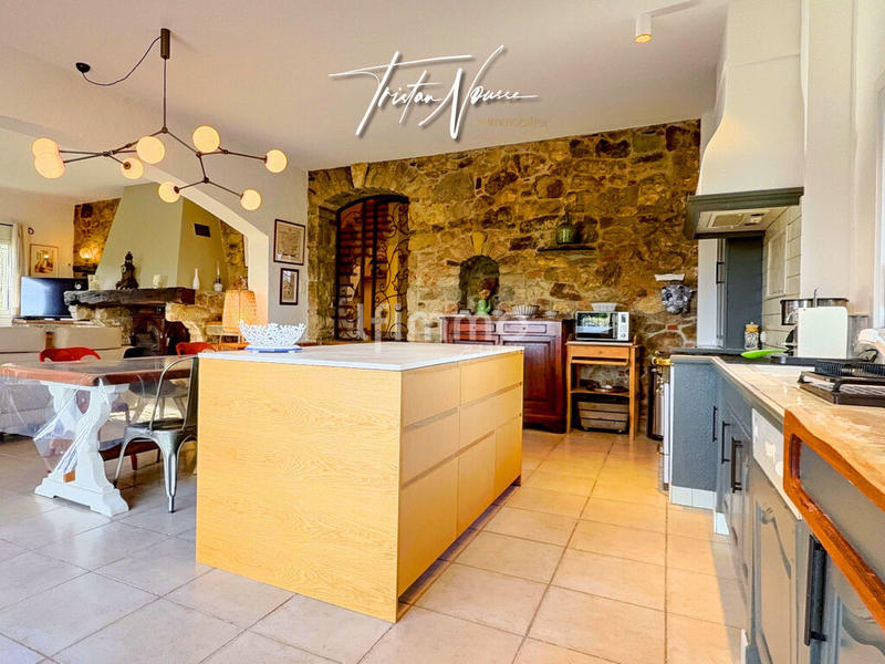 Mas - 260 m² - 7 pièces