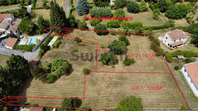 Terrain - 1 269 m²