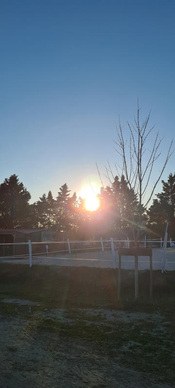 Fonds de commerce - Magasins - 62 459 m²