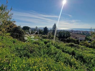 Terrain constructible - 1 393 m²