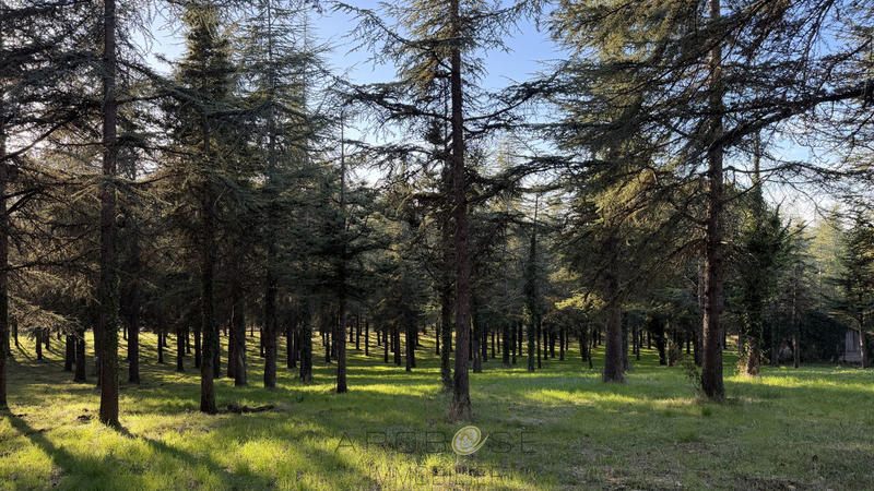 Maison - 300 m² - 7 pièces