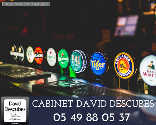 Fonds de commerce - Local commercial - 290 m²