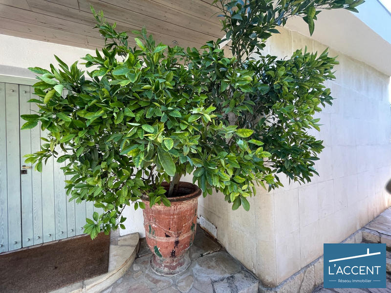 Maison - 375 m² - 15 pièces