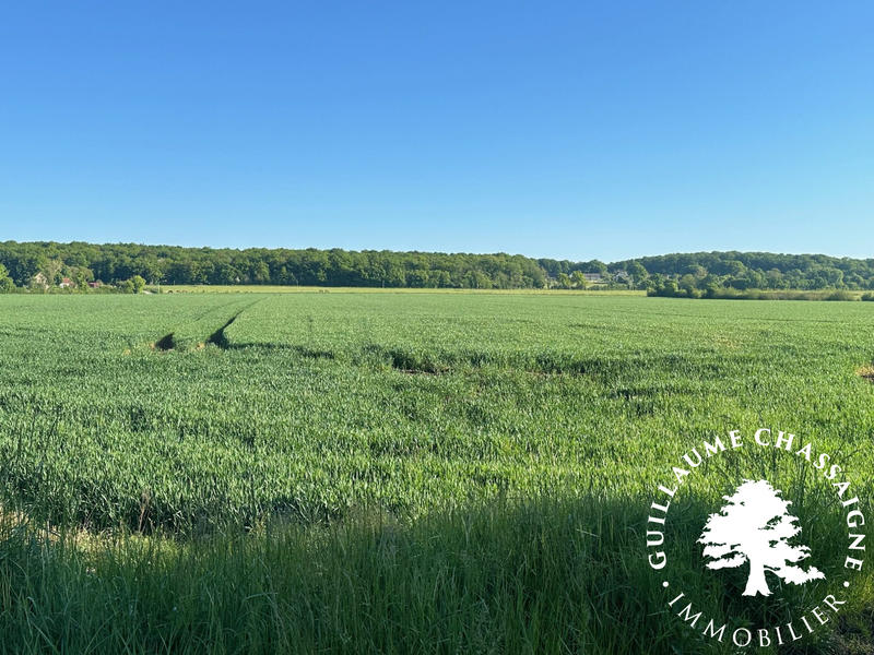 Terrain - 150 000 m²