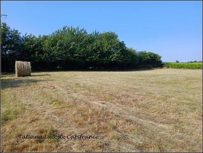 Terrain constructible - 1 540 m²