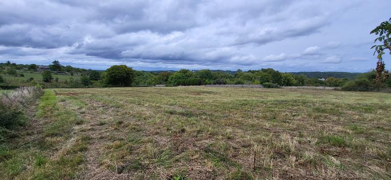 Terrain de loisirs - 7 850 m²