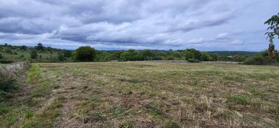 Terrain de loisirs - 7 850 m²