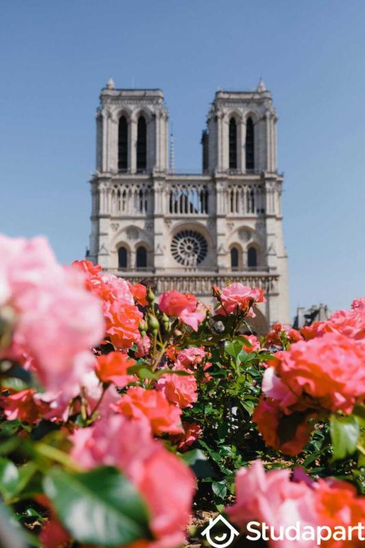 Appartement - 26 m² - 1 pièce