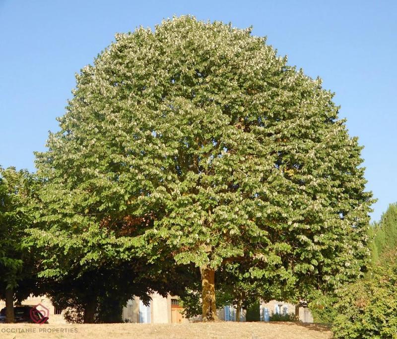 Maison de maîtres - 495 m² - 9 pièces