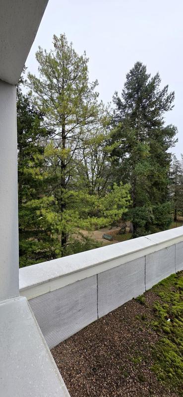 Bureau - 390 m² - 15 pièces