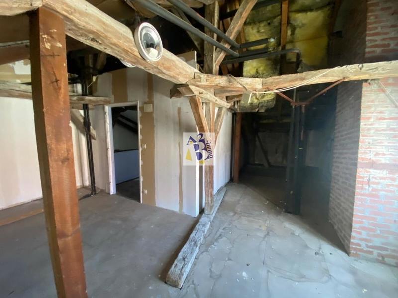 Hôtel particulier - 330 m² - 10 pièces