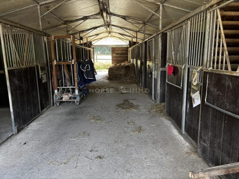 Maison d'architecte - 230 m² - 7 pièces