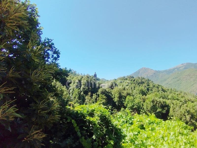 Maison - 156 m² - 7 pièces