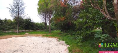 Terrain - 726 m²