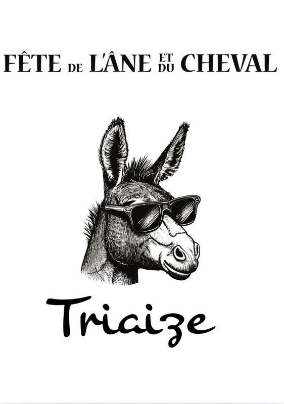 Vide grenier - fête de l'âne et du cheval
