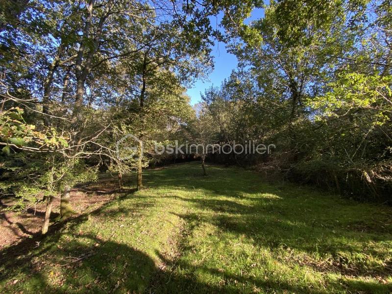 Ferme - 360 m² - 10 pièces