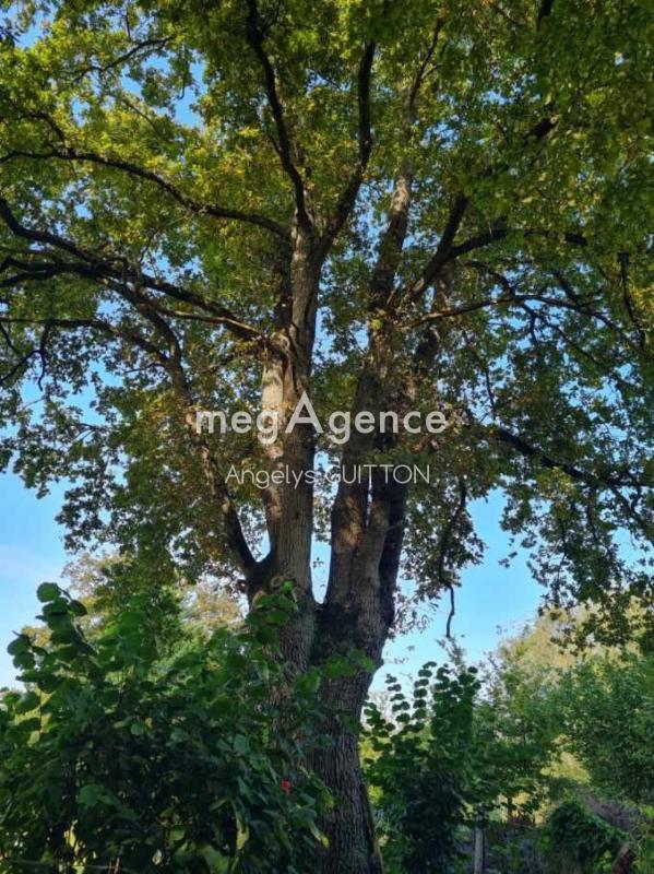 Terrain de loisirs - 3 520 m²