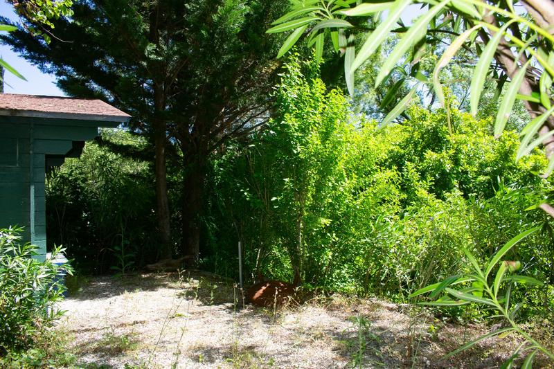 Maison en pierre - 180 m² - 6 pièces