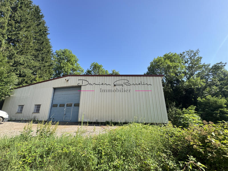 Local commercial - 310 m²