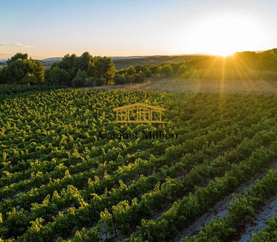 Terrain agricole - 110 000 m²